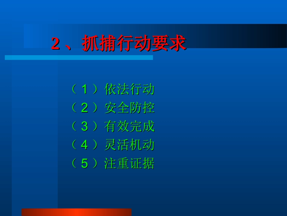 抓捕行动部分_第3页