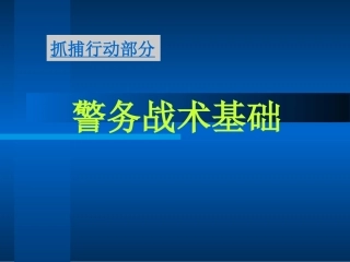 抓捕行动部分