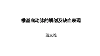 椎基底动脉系统