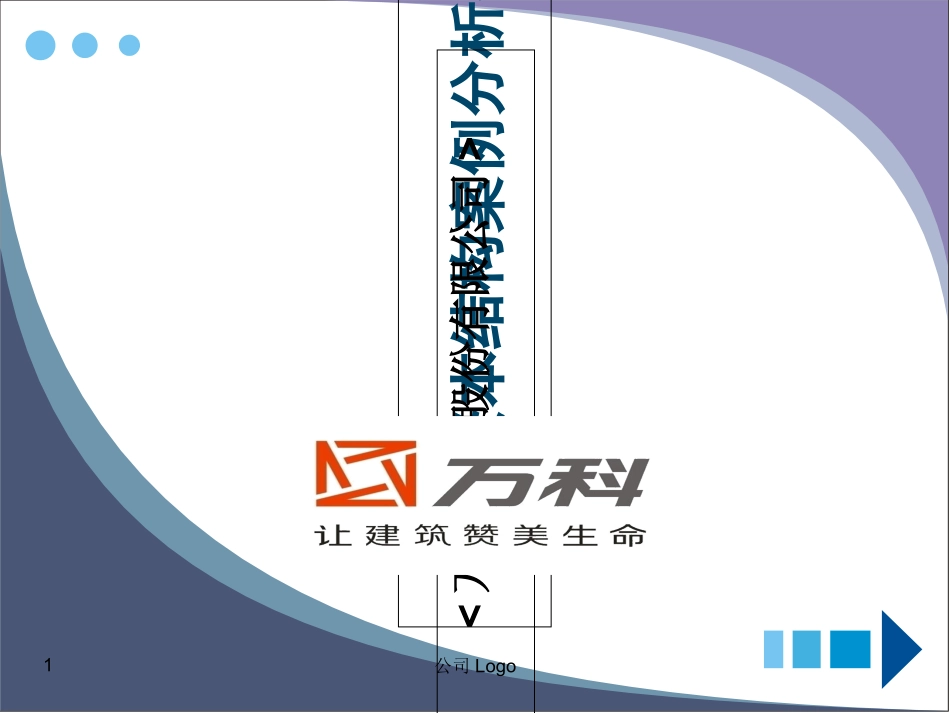 资本结构案例分析报告_第1页