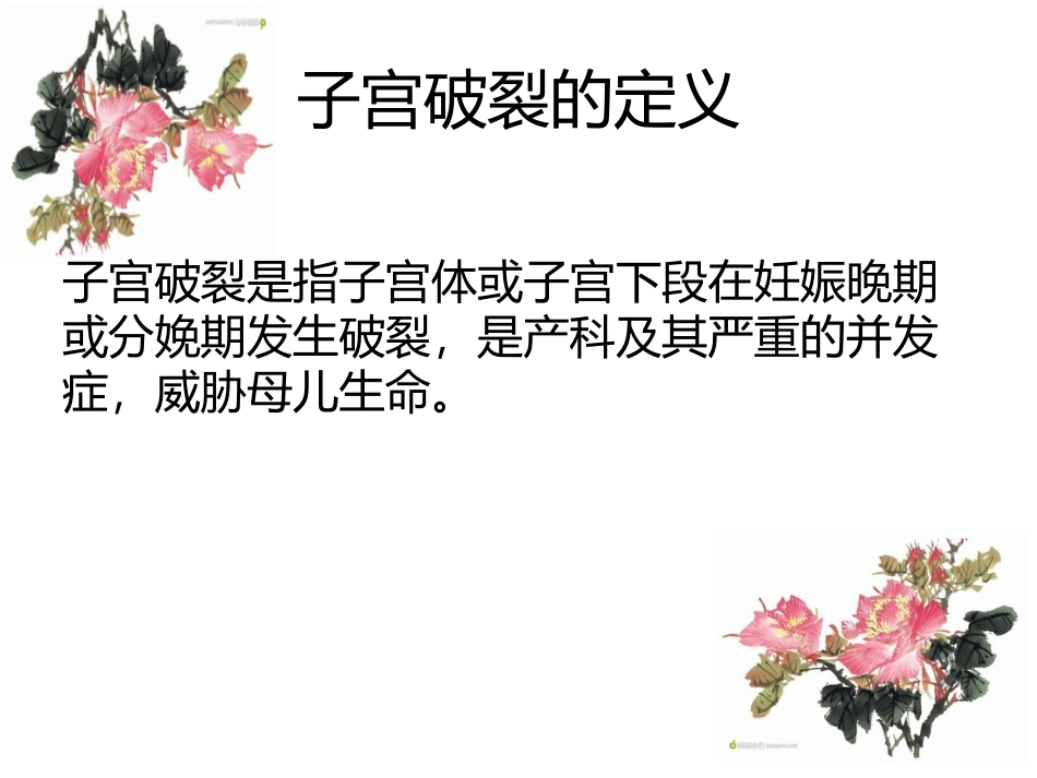 子宫破裂的护理查房_第2页
