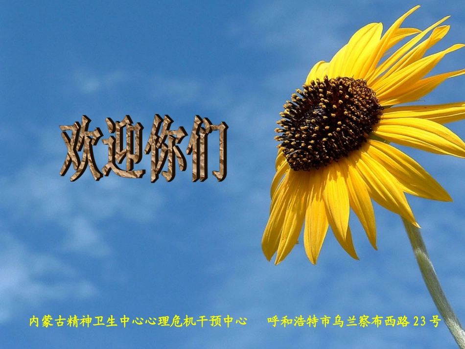 走进心理咨询的世界_第1页