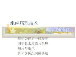 组织病理技术完整版