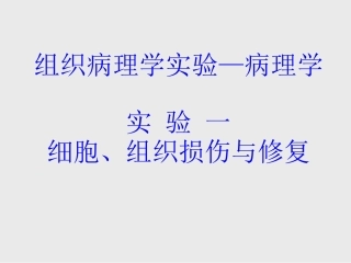 组织病理学实验