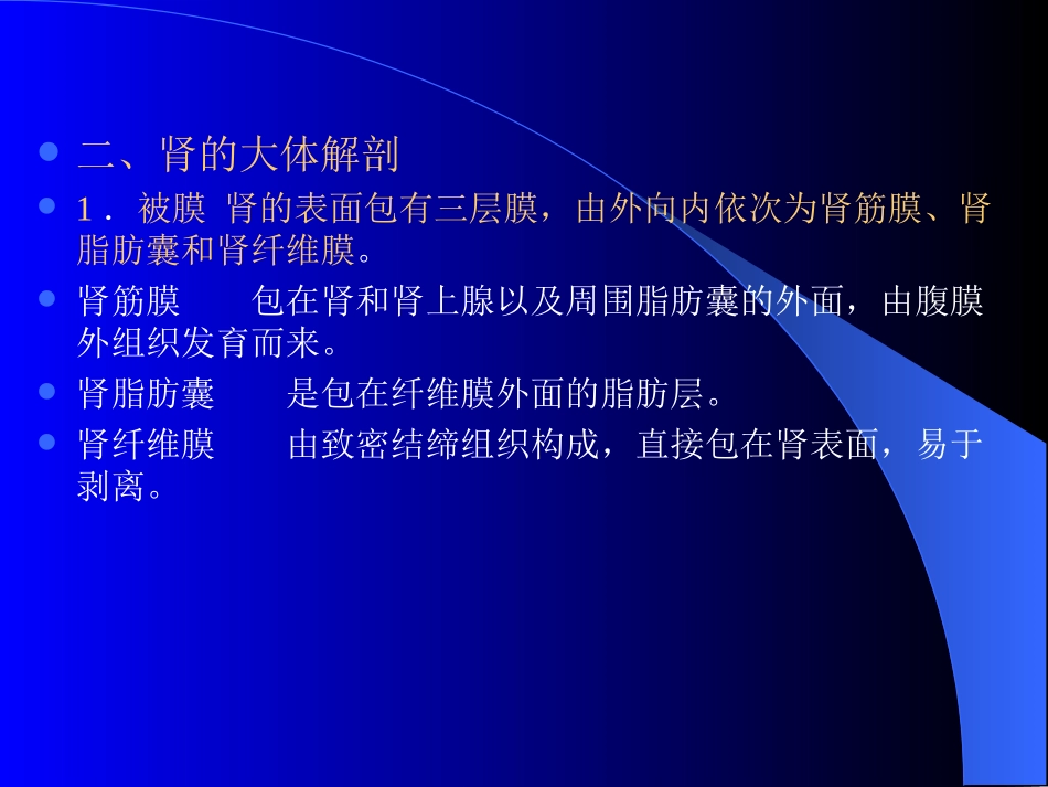 组织学与解剖学泌尿系统_第3页