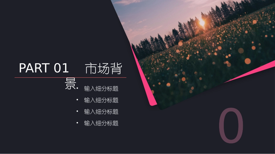 最新创业融资商业计划书_第3页