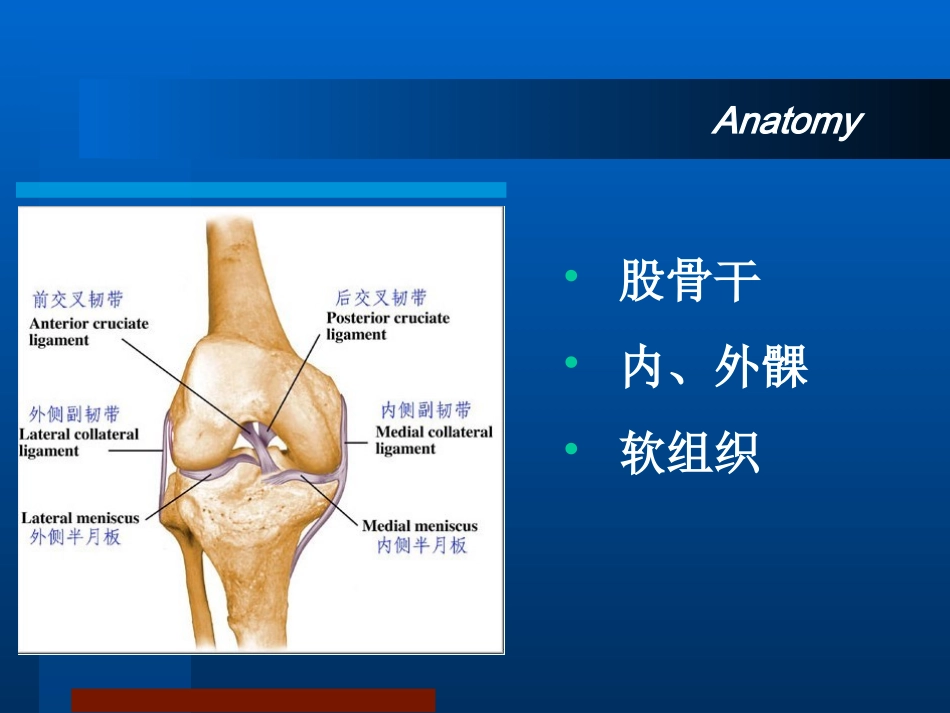 最新股骨远端骨折_第3页