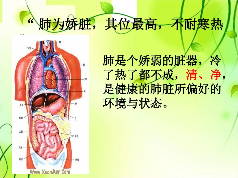 最新秋季养肺专题讲座主题讲座课件_第2页