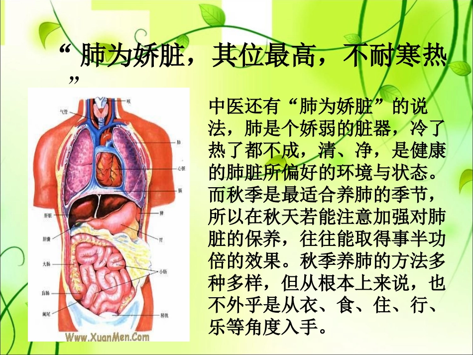 最新秋季养肺专题讲座主题讲座课件_第3页