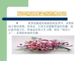 最新夏季肠道传染病预防主题讲座课件