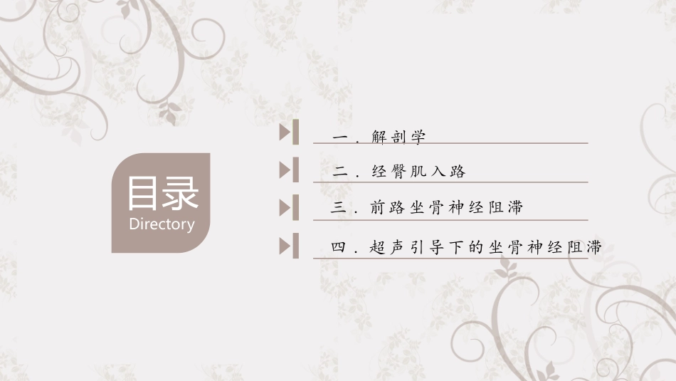 坐骨神经阻滞_第2页