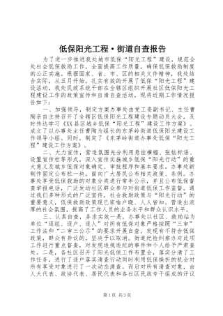 低保阳光工程·街道自查报告