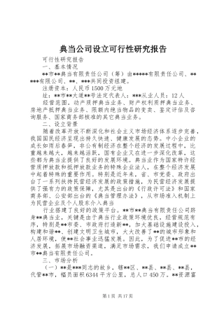 典当公司设立可行性研究报告