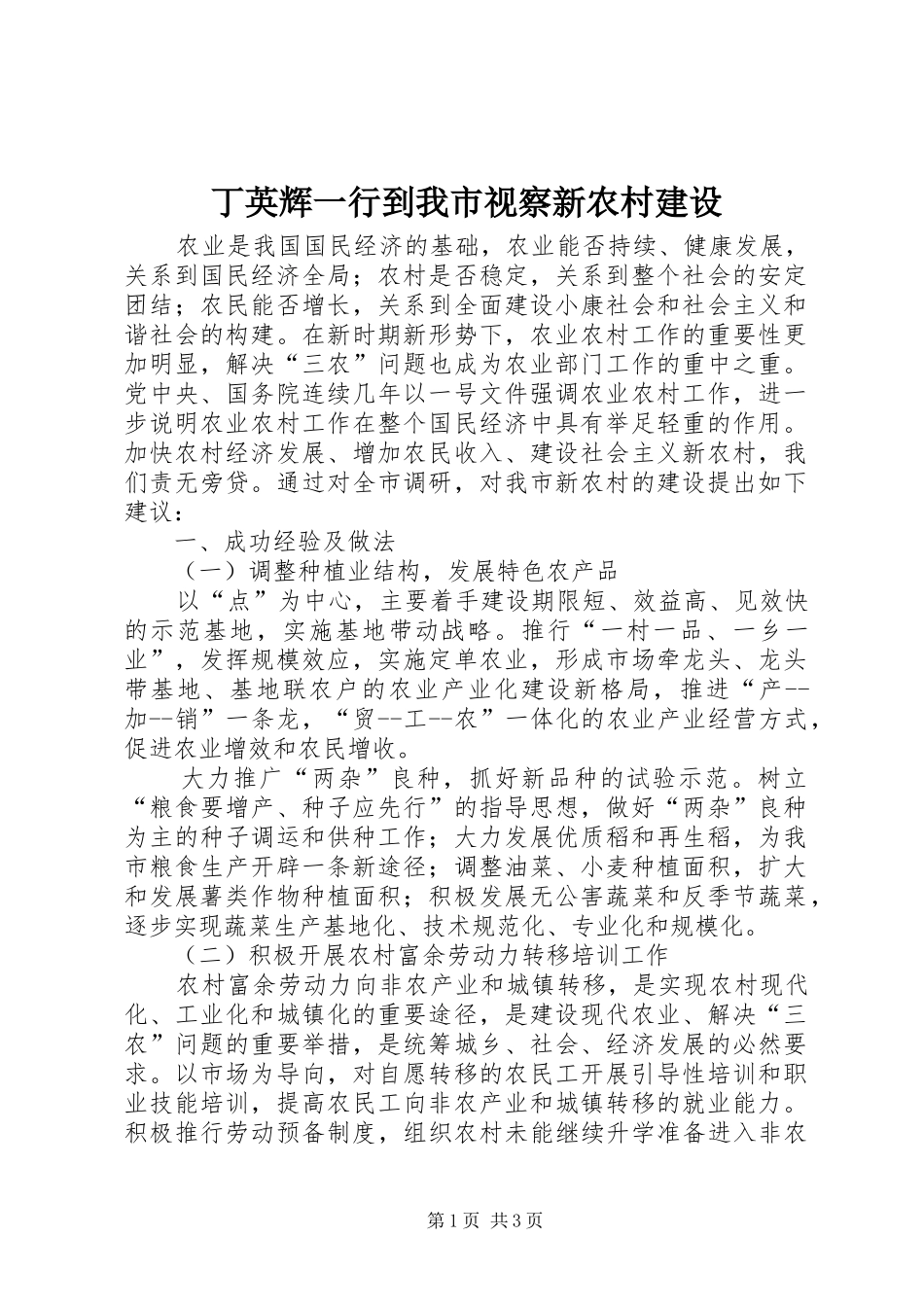 丁英辉一行到我市视察新农村建设_第1页