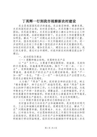 丁英辉一行到我市视察新农村建设