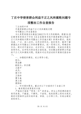 丁庄中学侵害群众利益不正之风和腐败问题专项整治工作自查报告
