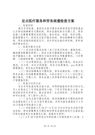 定点医疗服务和劳务派遣检查方案