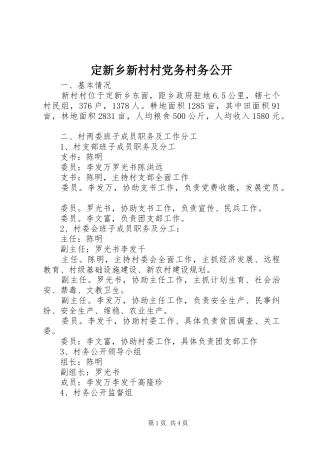 定新乡新村村党务村务公开