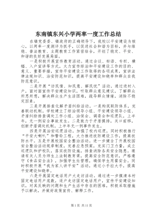 东南镇东兴小学两率一度工作总结