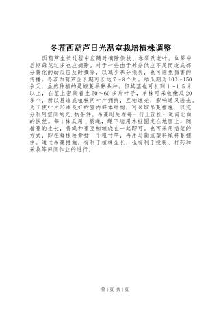 冬茬西葫芦日光温室栽培植株调整
