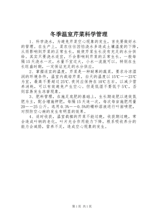 冬季温室芹菜科学管理