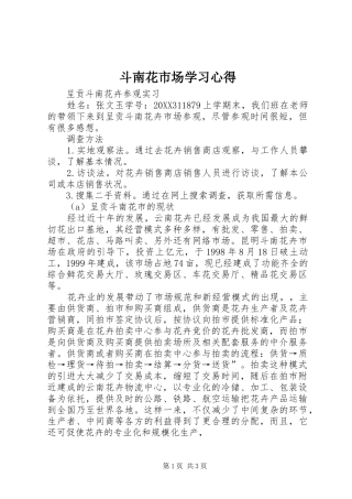 斗南花市场学习心得