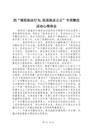 的规范执法行为促进执法公正专项整改活动心得体会