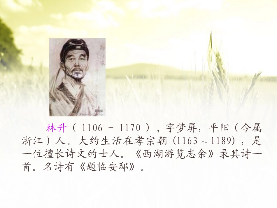 《题临安邸》课件_第3页