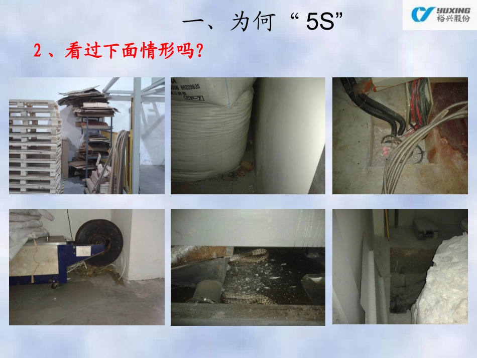 5S管理培训教程_第3页