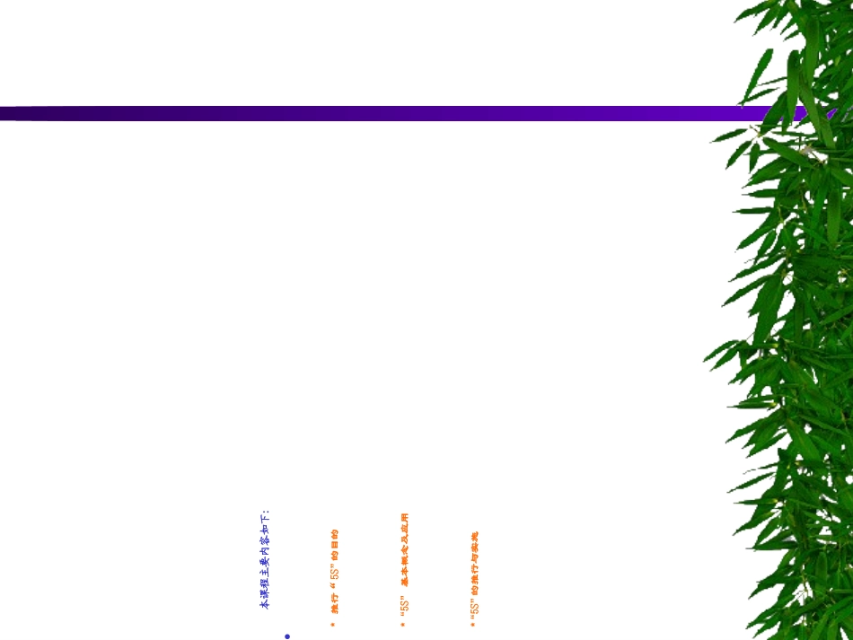 5S培训教材课件_第2页
