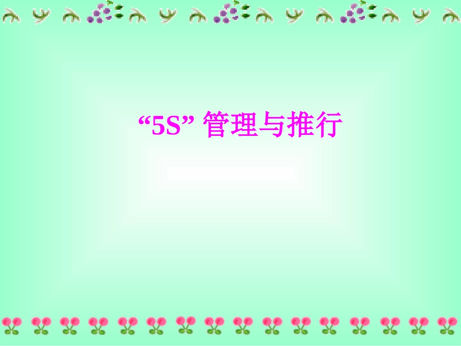 5S专业讲座_第2页