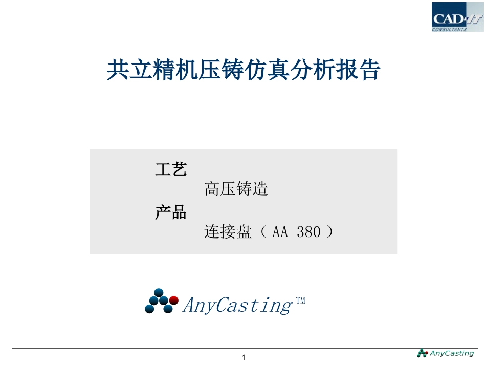 anycasting压铸仿真分析报告_第1页
