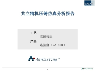anycasting压铸仿真分析报告
