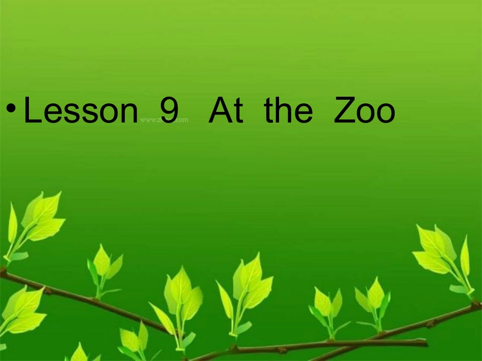 Atthezoo课件_第1页