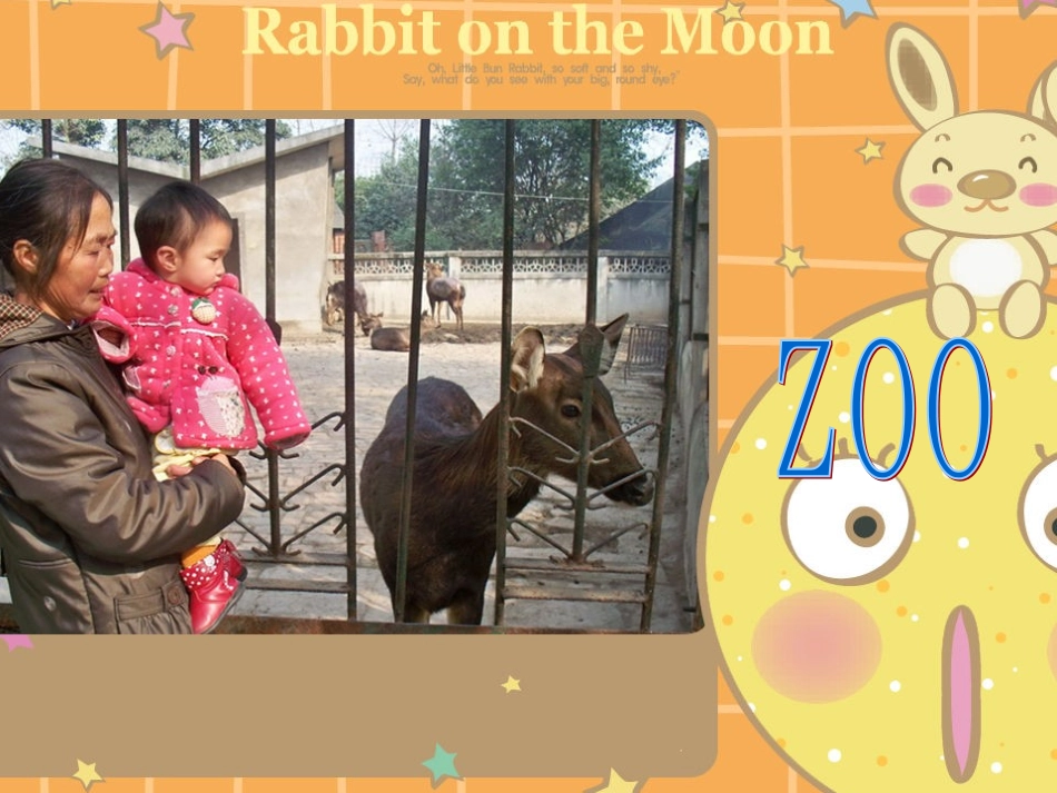 Atthezoo课件_第3页