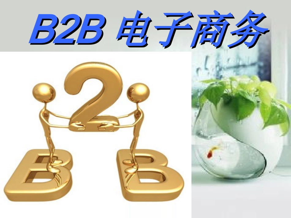 B2B电子商务_第1页