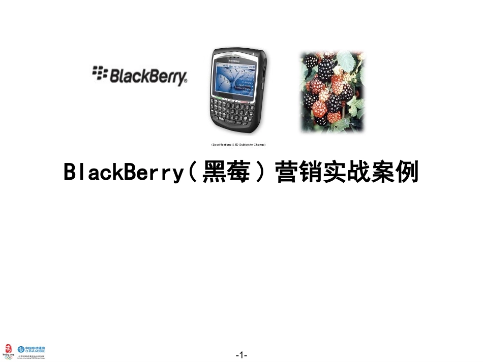 Blackberry市场与营销研究报告_第1页