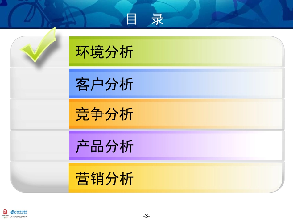 Blackberry市场与营销研究报告_第3页