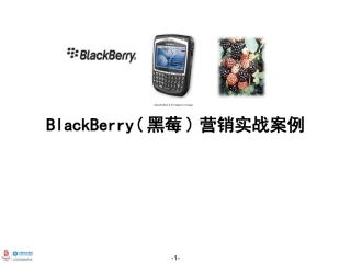 Blackberry市场与营销研究报告