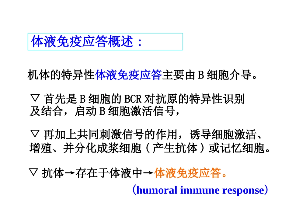 B淋巴细胞介导的特异性免疫应答_第2页