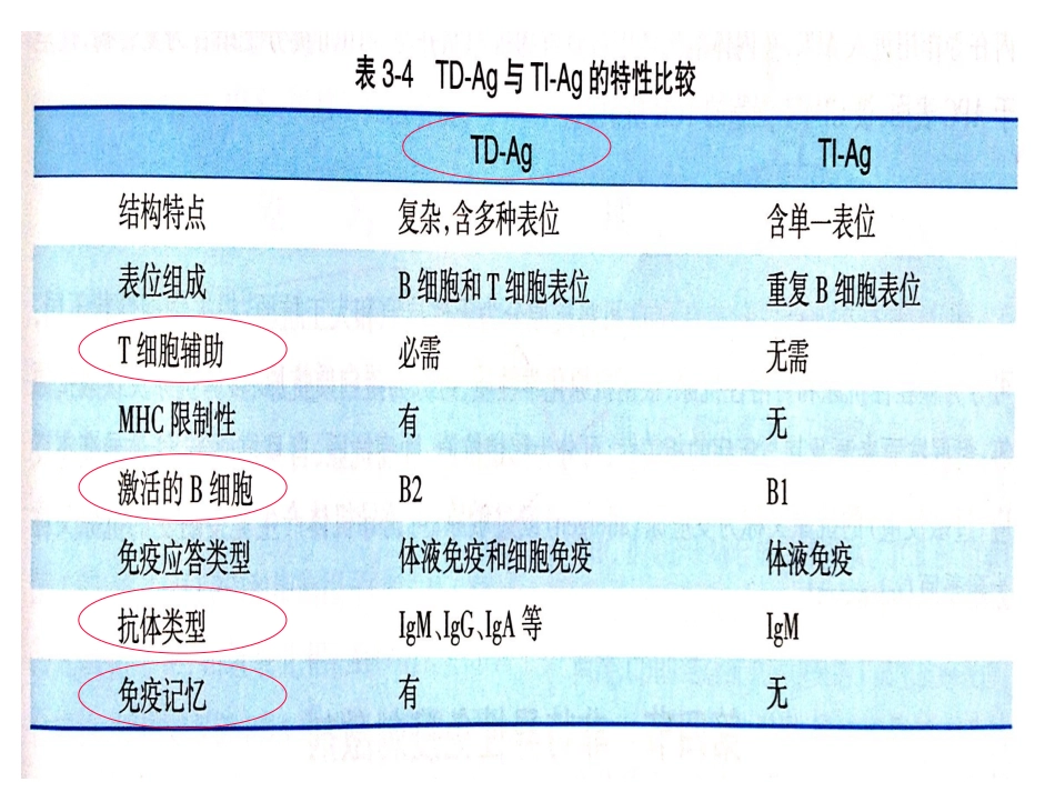 B淋巴细胞介导的特异性免疫应答_第3页
