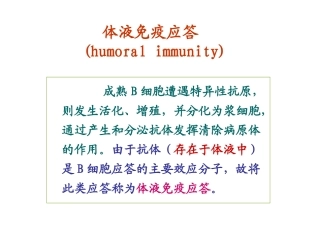 B细胞介导的体液免疫应答概述