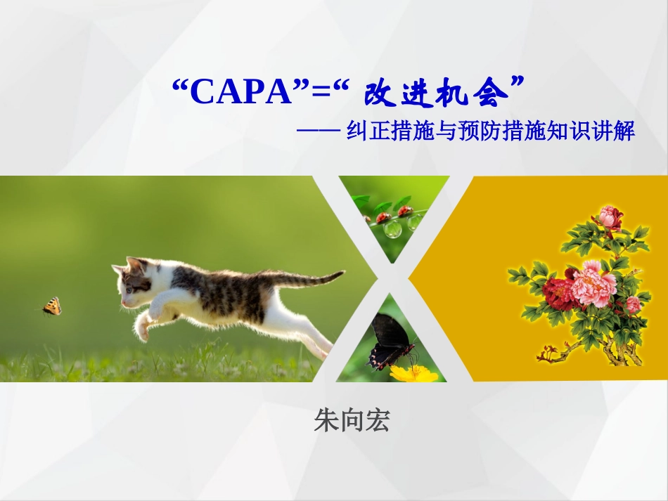 CAPA知识培训课件_第1页
