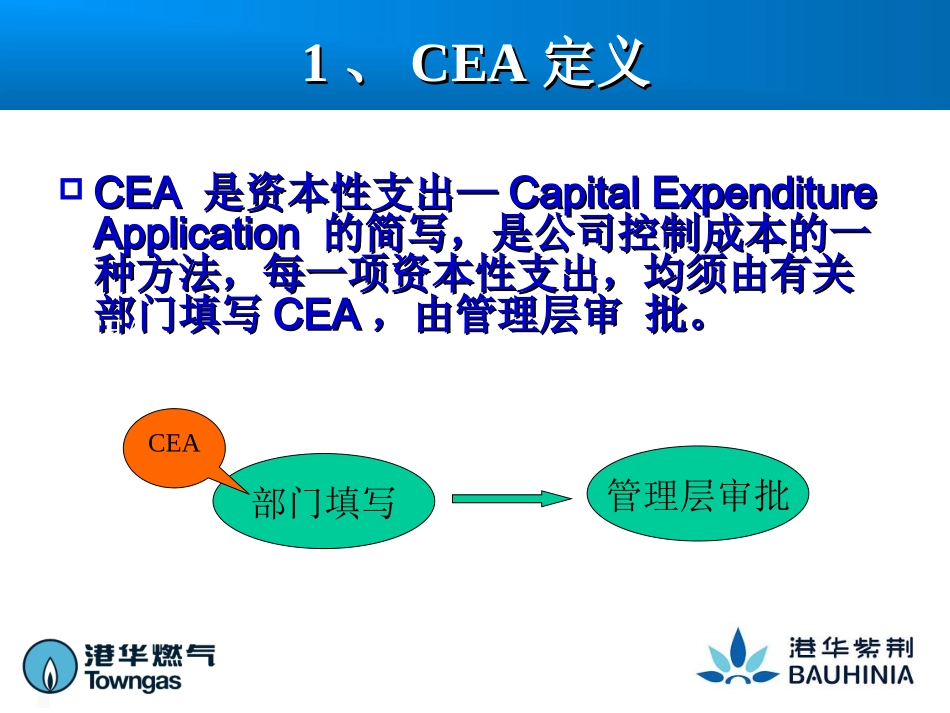 CEA操作手册_第2页