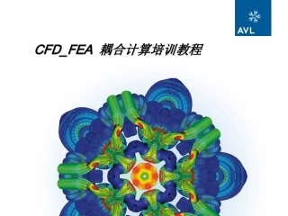 cfdfea耦合培训教程