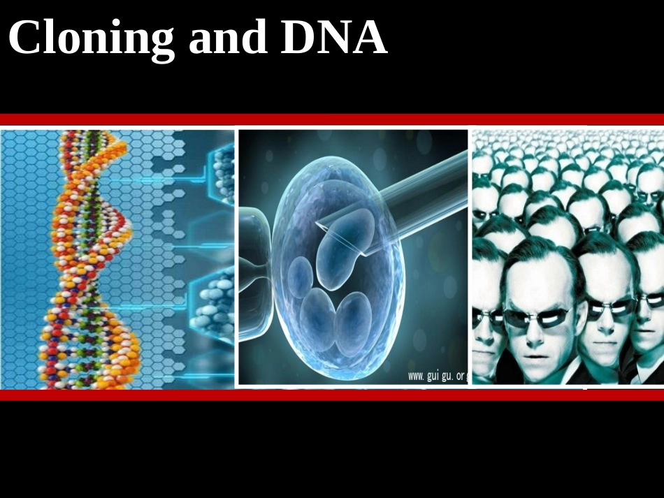 cloningandDNA_第1页