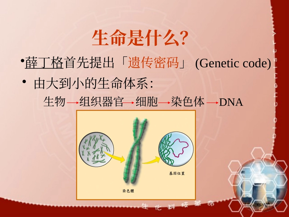 DNARNA与蛋白质_第3页