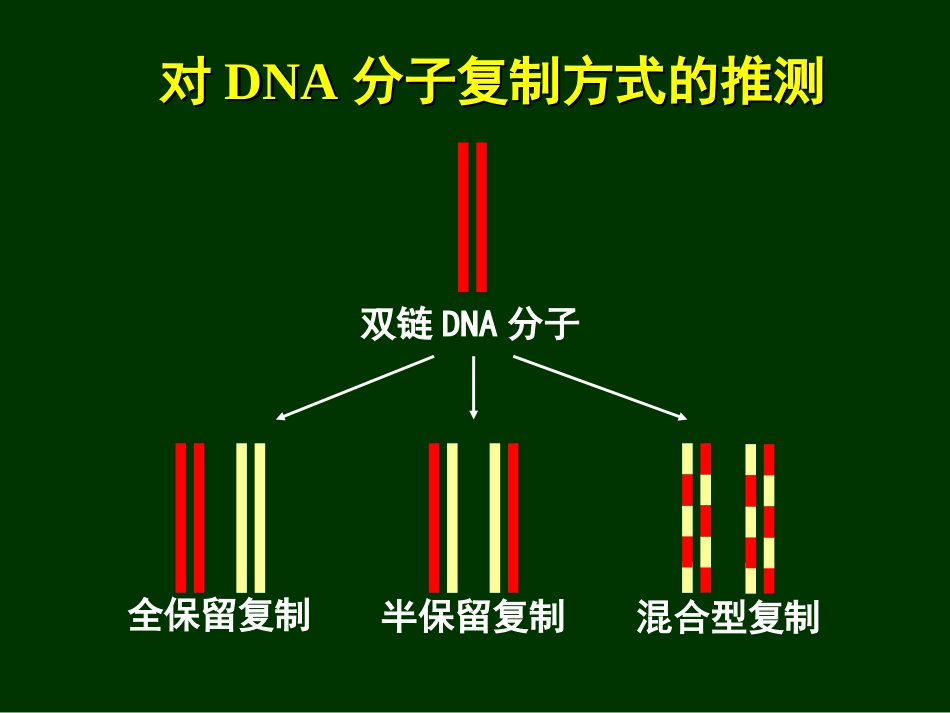 DNA半保留复制的证据解读_第3页