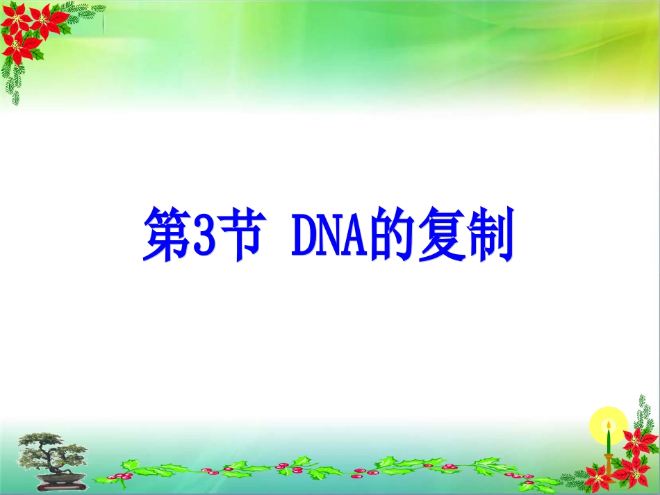 DNA的复制动画_第1页
