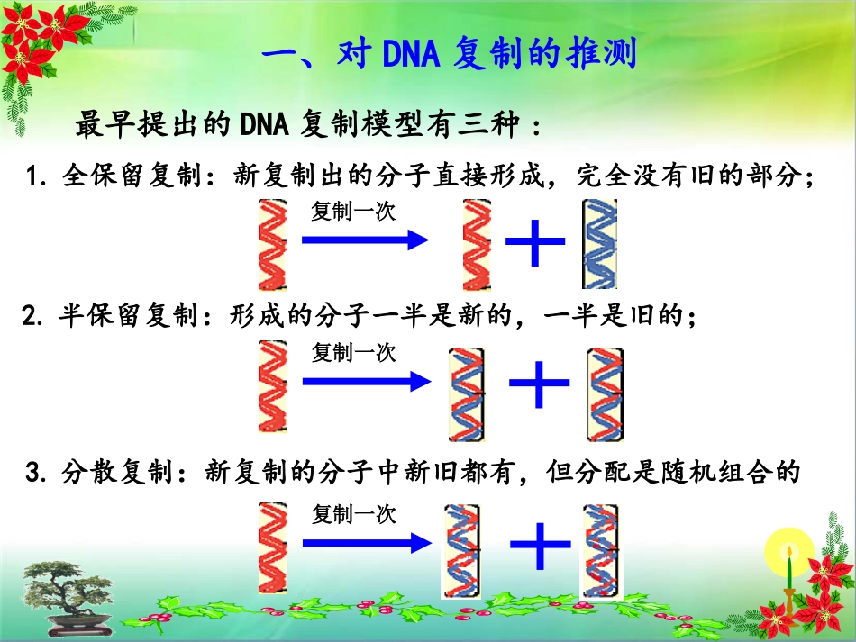 DNA的复制动画_第2页